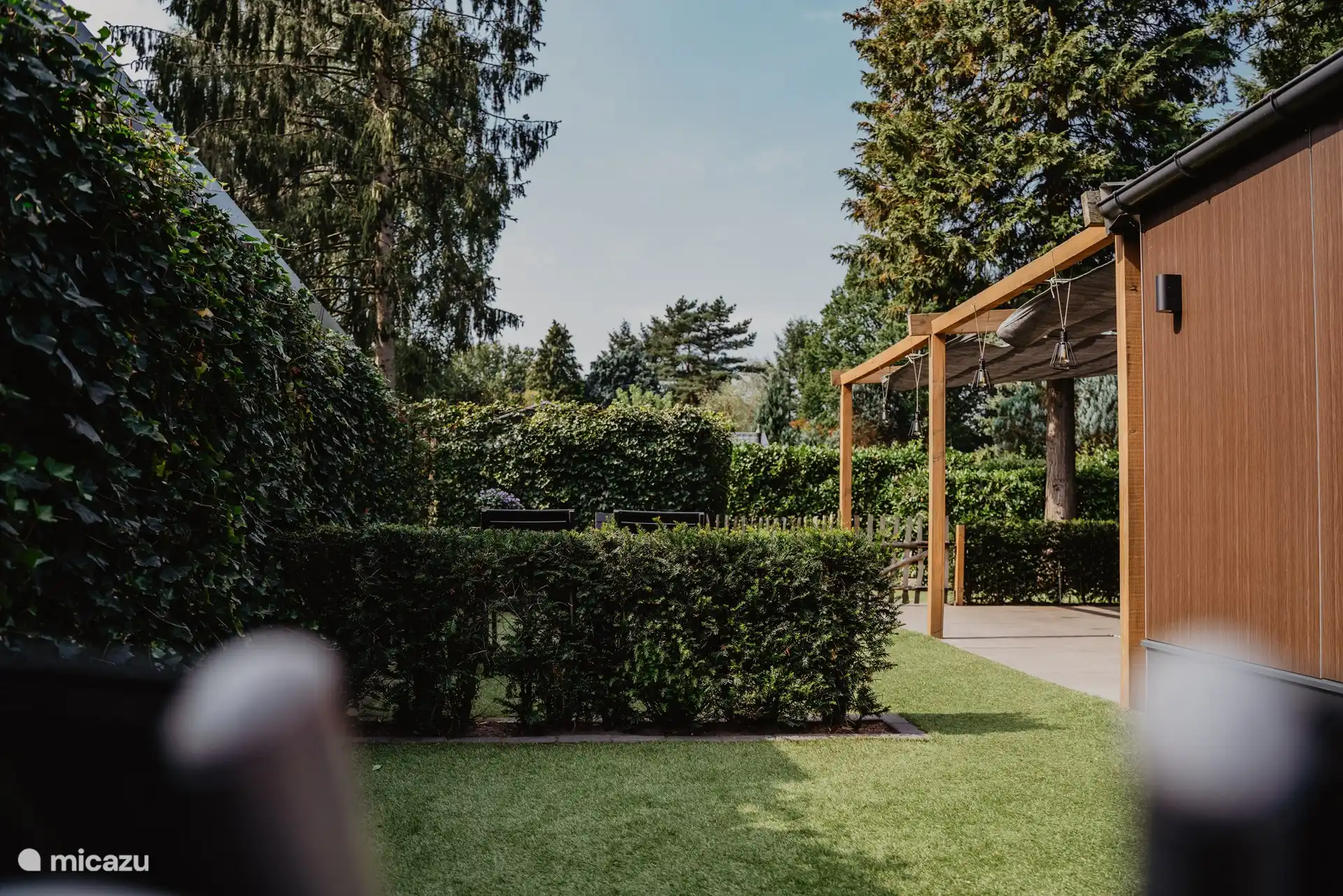 Dégustez parmi les « verts ».