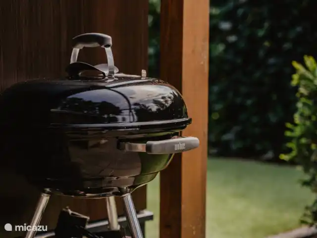 Luxueux et confortable Boshuisje 34 @Veluwe | Pays-Bas, Gueldre, Wells - chalet Un barbecue est à votre disposition.