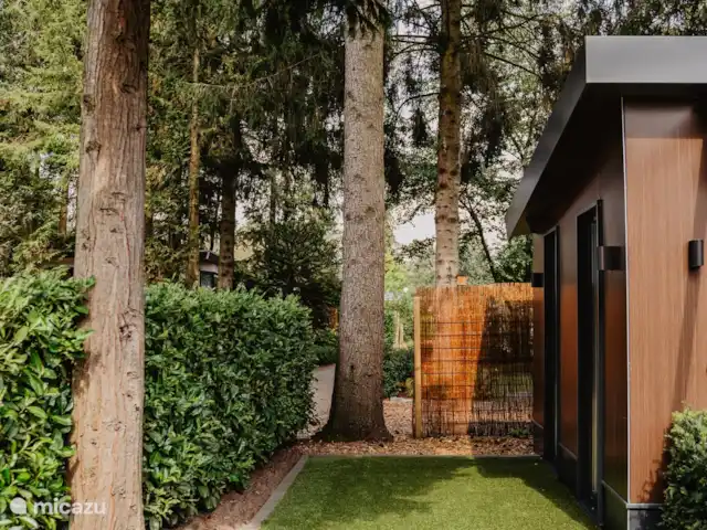 Luxueux et confortable Boshuisje 34 @Veluwe | Pays-Bas, Gueldre, Wells - chalet