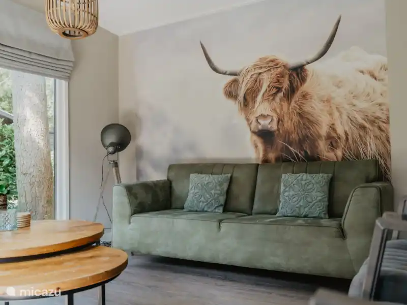 Luxueux et confortable Boshuisje 34 @Veluwe | Pays-Bas, Gueldre, Wells - Chalet Luxueux et confortable Boshuisje 34 @Veluwe | Pays-Bas, Gueldre, Wells - Chalet