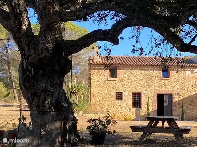 Location de Vacances Espagne, Costa Brava, Llagostera, appartement - Appartement Can Massanet Sol Asseyez-vous à l'ombre sous le chêne-liège centenaire.