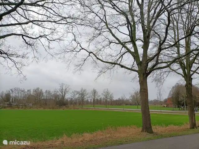 vakantiehuis huren in Nederland, Gelderland, Beltrum – Vakantiehuisje Beltrum uitzicht