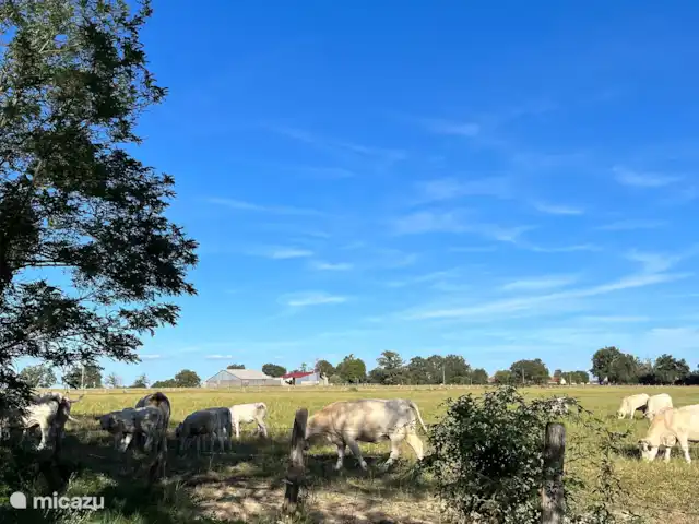 Location de Vacances France, Nièvre, Nevers, ferme - Cachez-vous