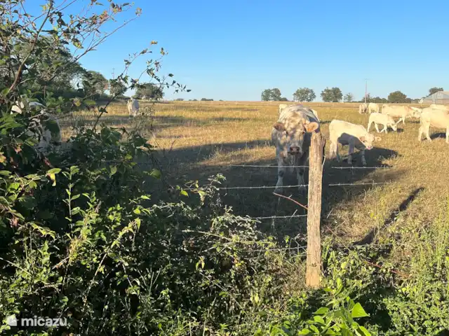 Location de Vacances France, Nièvre, Nevers, ferme - Cachez-vous