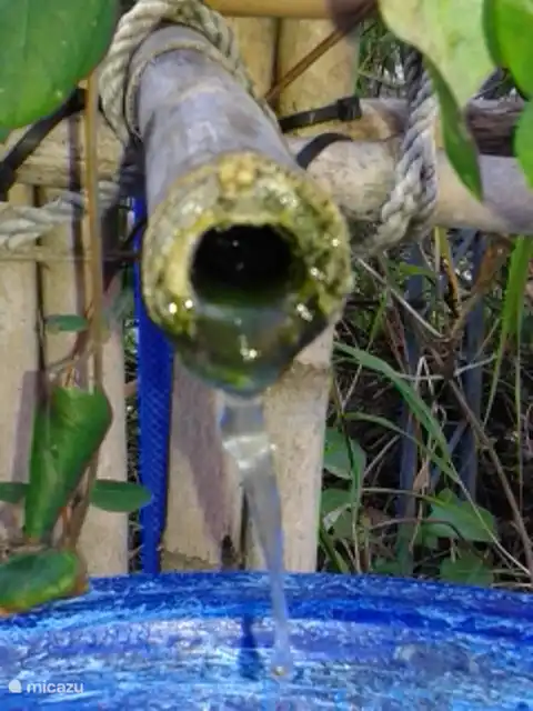 ein feature auf La Molina