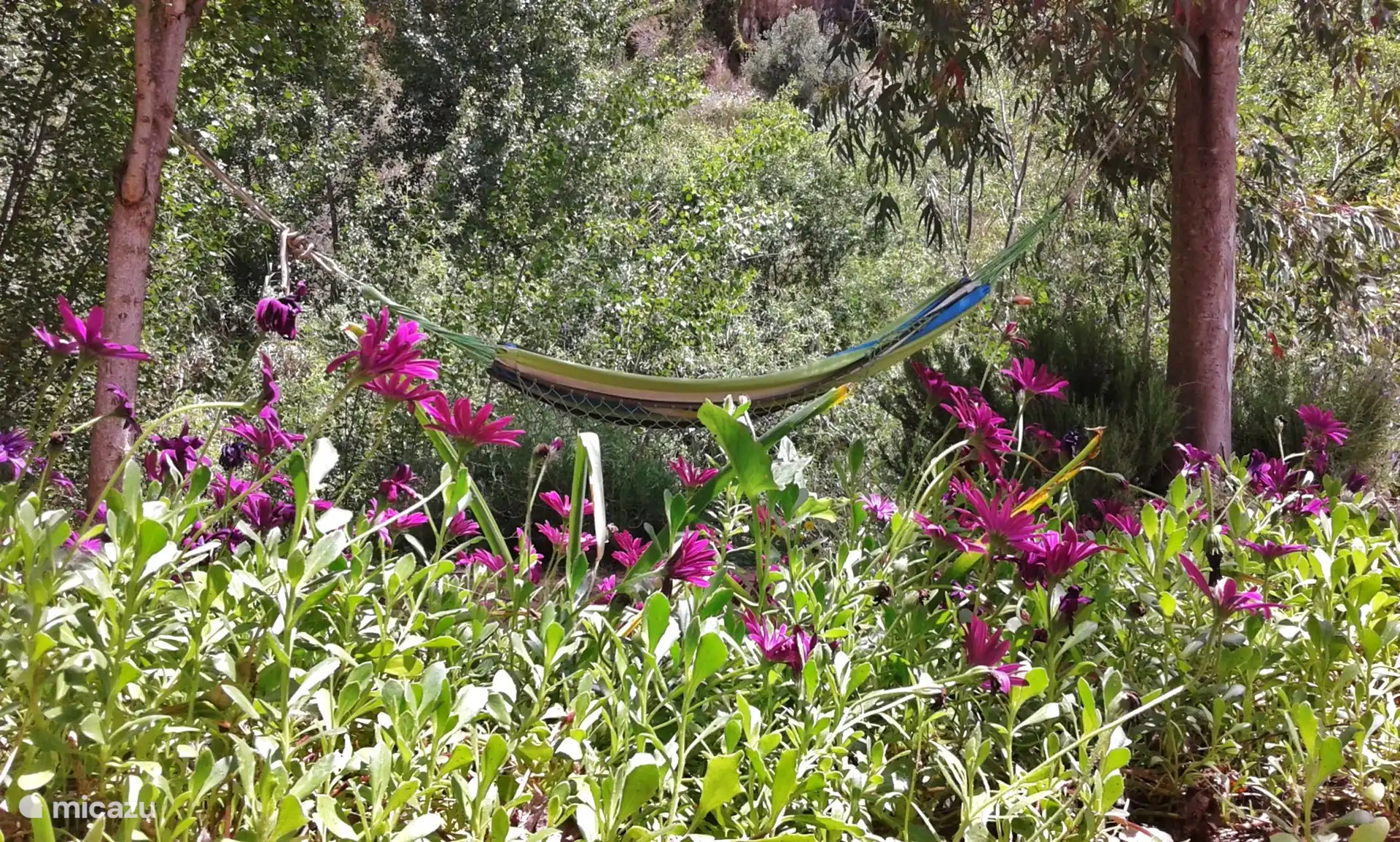 in den Hängematten lässt es sich gut chillen.... sie sind überall auf dem Land zu finden