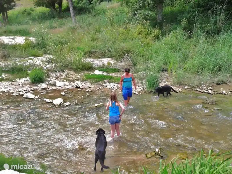 im Fluss spielen, laufen, abkühlen
