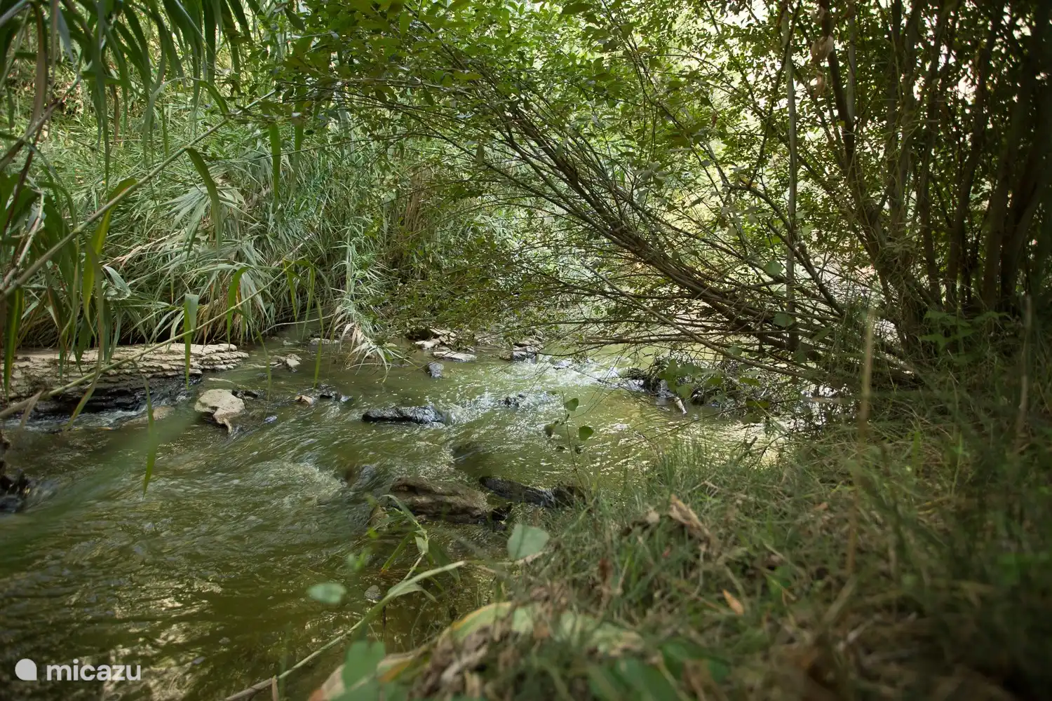 der Fluss hat das ganze Jahr über Wasser