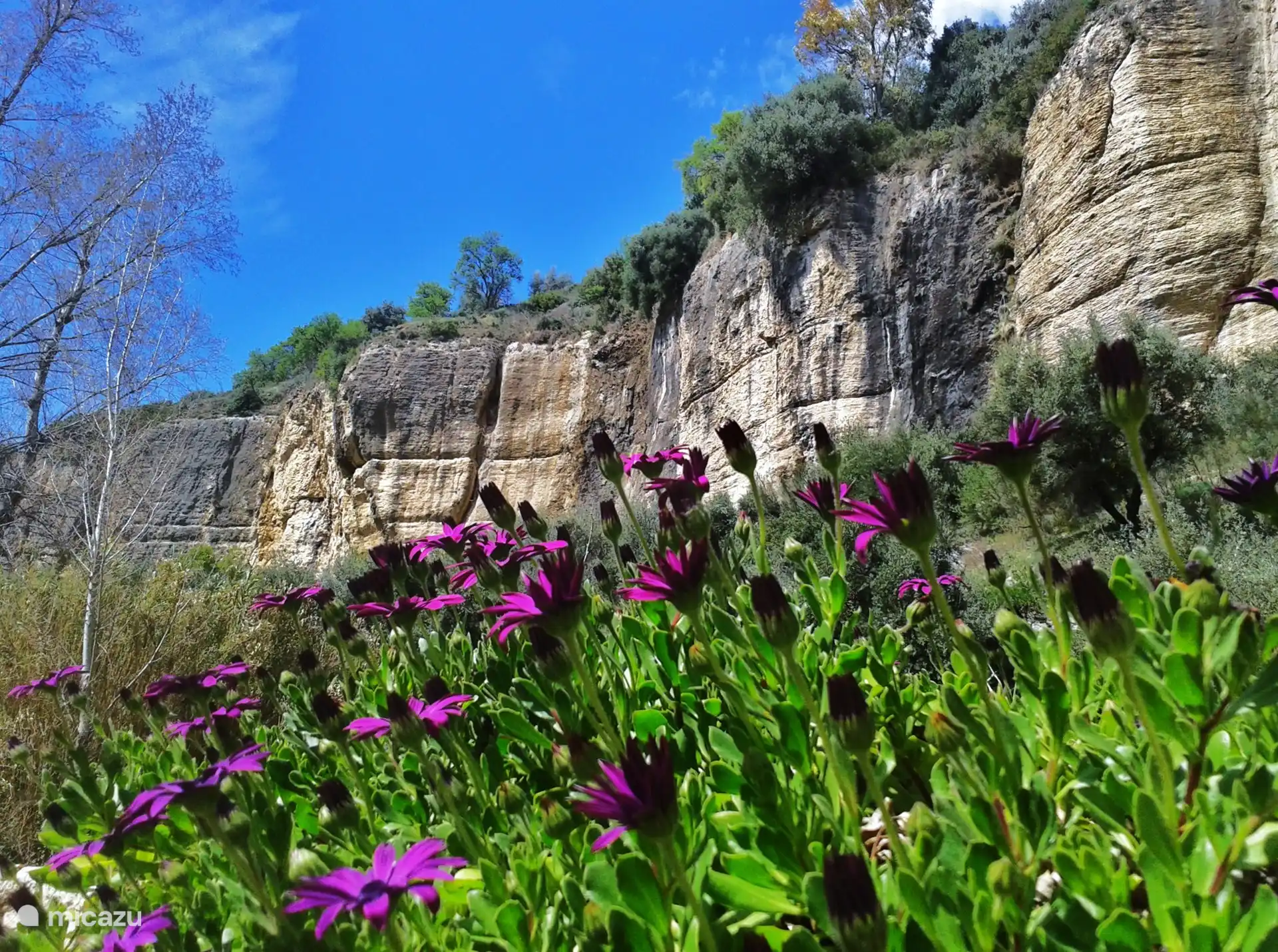 Blick vom Garten auf die Felsen der Escarpes del Rio Trejo