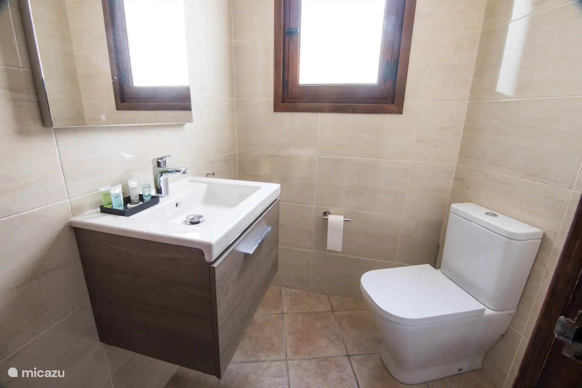 Toilet with vanity unit