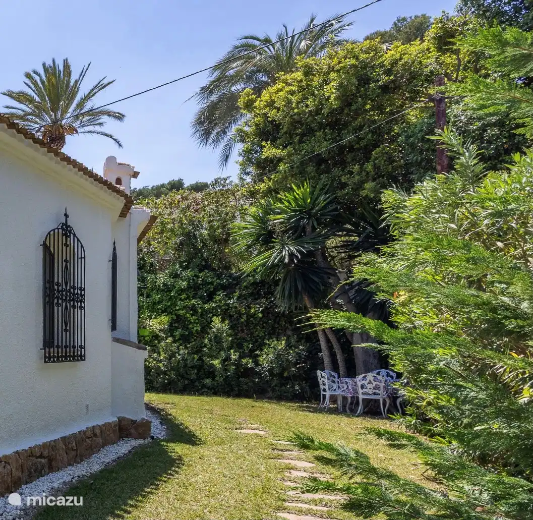 Table, shaded in summer
