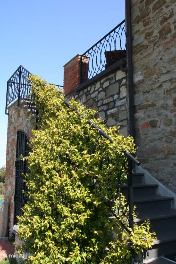 Über eine Treppe gelangen Sie auf die große Terrasse vor Ihrer Wohnung.