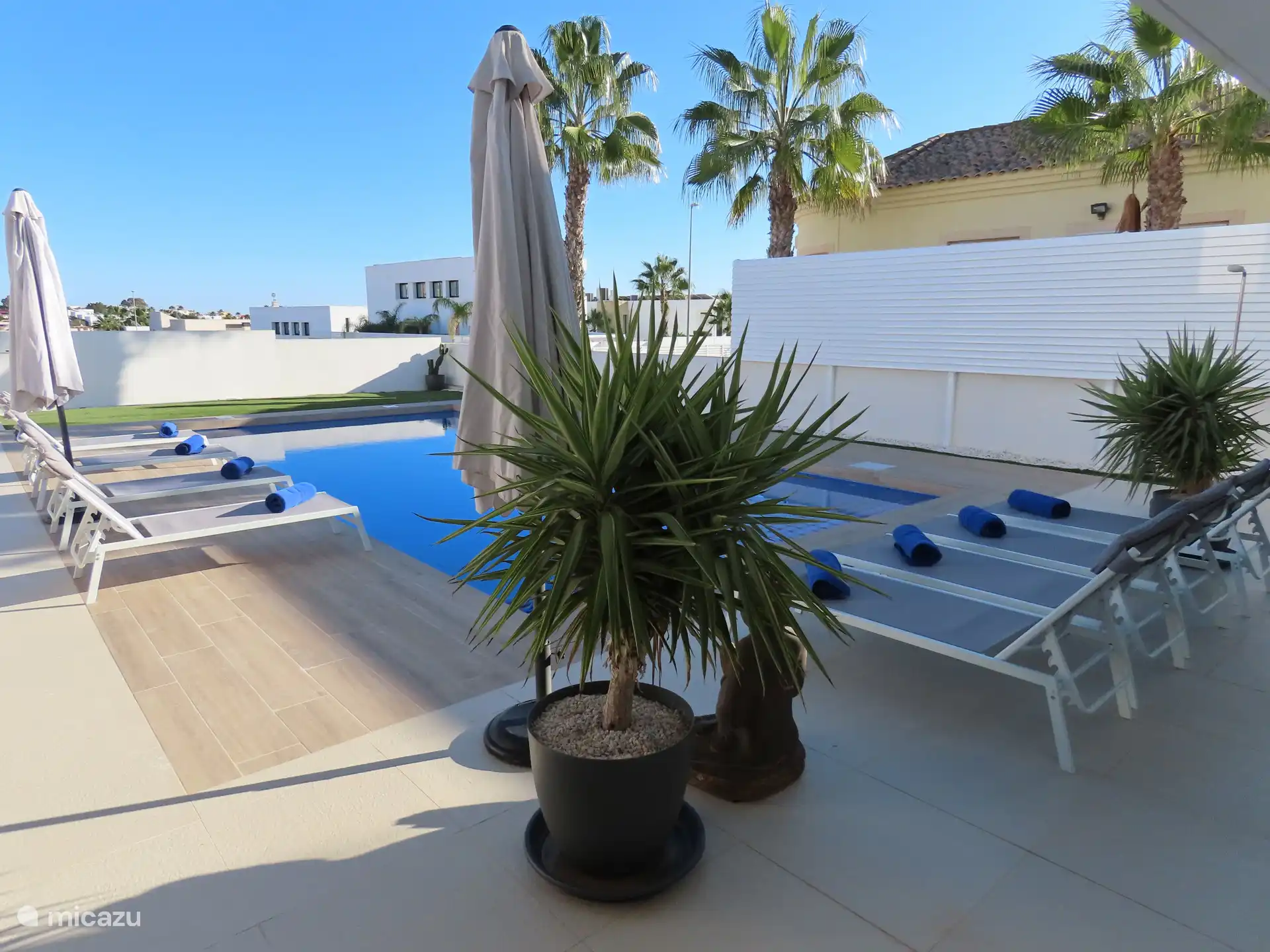 Groot privé zwembad met ligbedden en sfeervol vernieuwd terras en afscherming voor voldoende privacy.