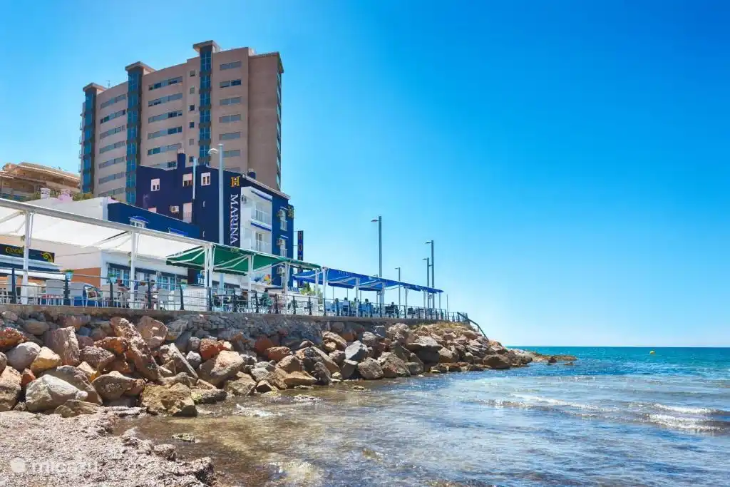 Einige gemütliche Terrassen am Deich.
Im Hintergrund sehen Sie das Mehrfamilienhaus, in dem sich die Wohnung befindet