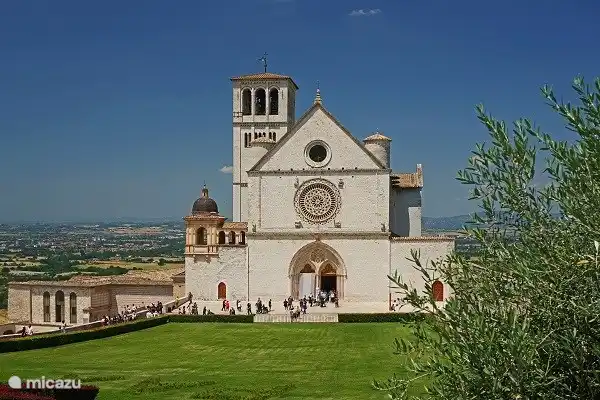Asís; la ciudad de San Francisco. Te recomendamos una visita guiada para no perderte nada.