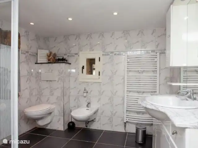 La Forêt | Belgique, Ardennes, Stoumont - villa Salle de bain au sous-sol avec douche, lavabo, bidet et toilettes
