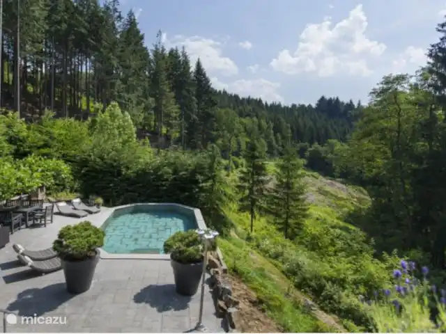 La Forêt | Belgique, Ardennes, Stoumont - villa Vue de la piscine