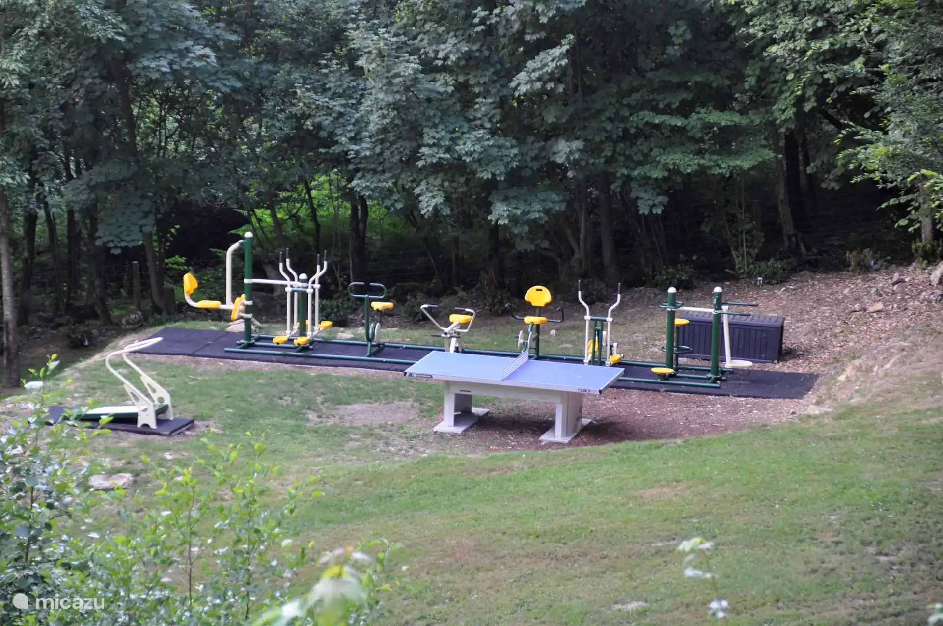 Outdoor-Fitness und Tischtennis