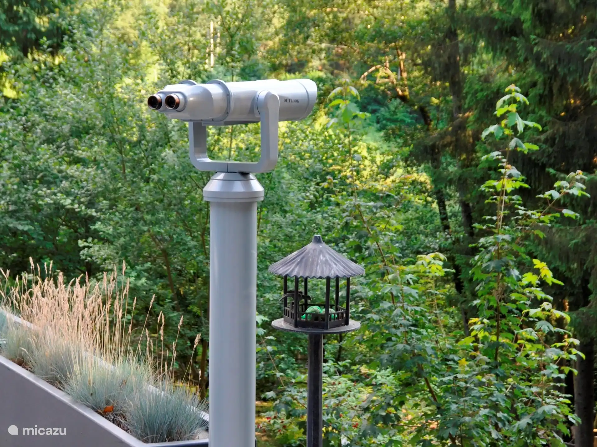 Mit dem Fernglas können Sie Vögel und andere Tiere entdecken