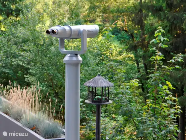 La Forêt | Belgique, Ardennes, Stoumont - villa Avec les jumelles, vous pourrez découvrir des oiseaux et d'autres animaux