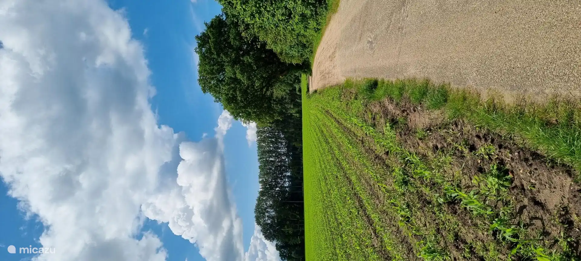 Das Hotel liegt in einem schönen Waldgebiet, in dem Sie wandern und Rad fahren können