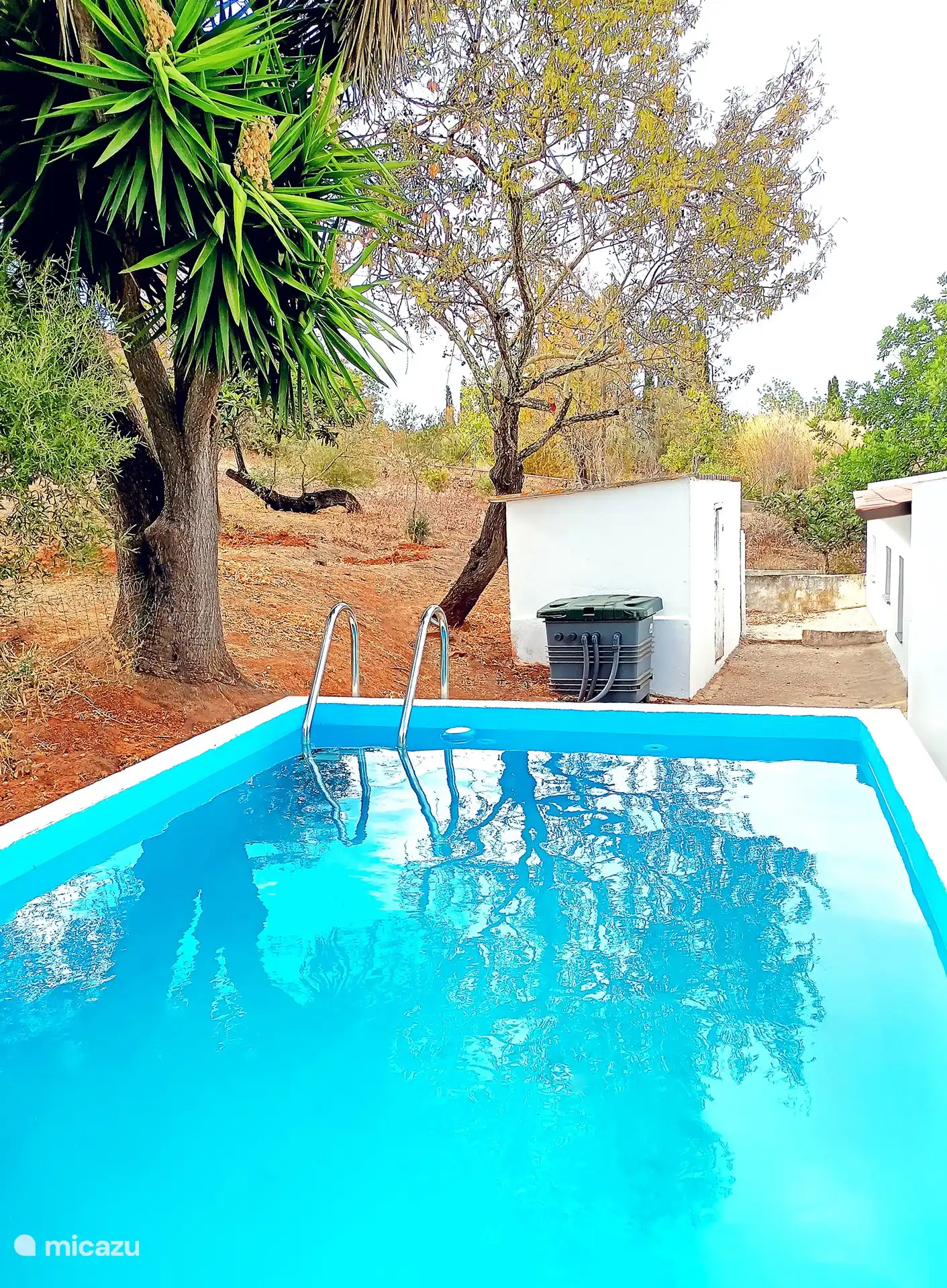 Das wunderbar erfrischende Tauchbecken