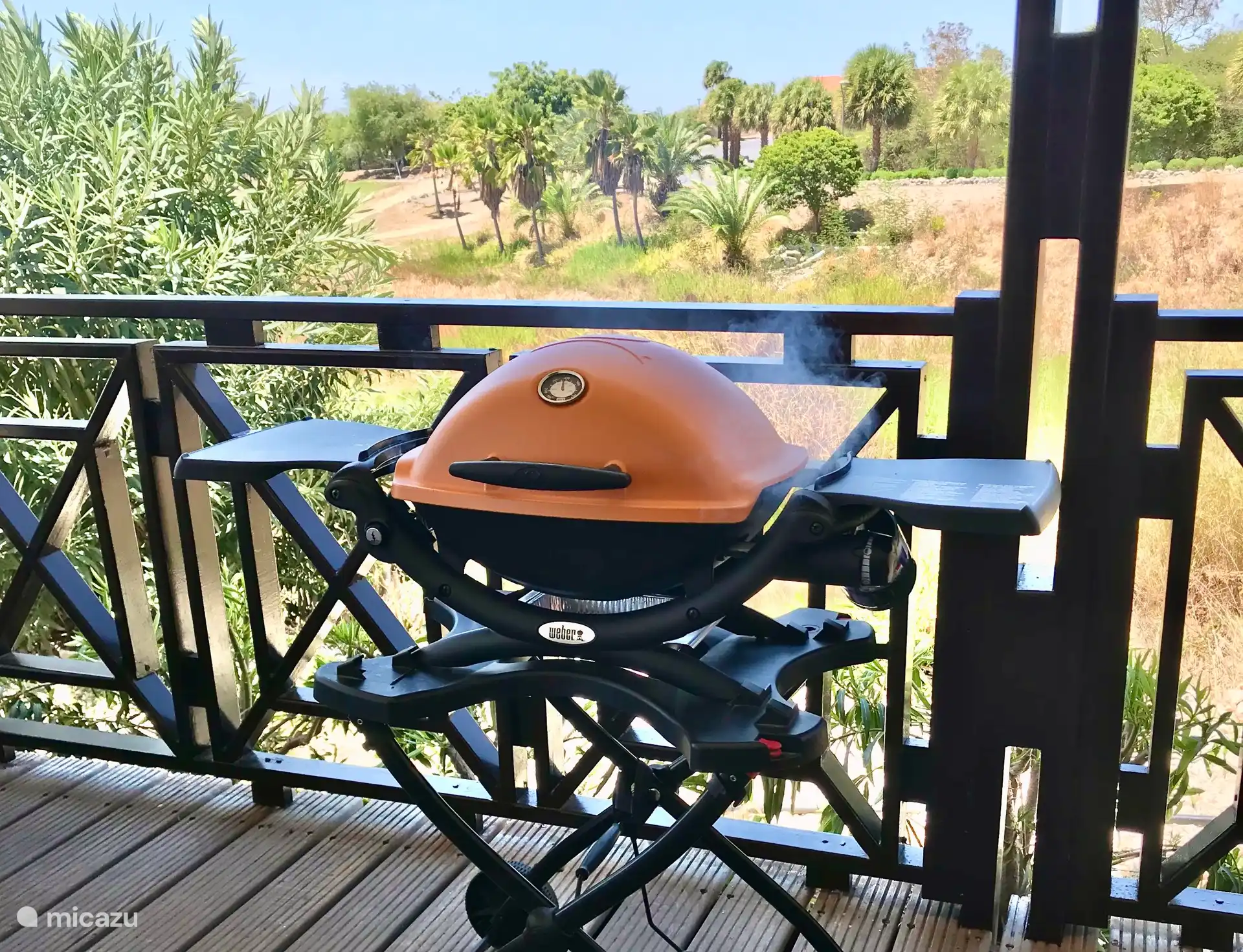 Barbacoa de gas Weber