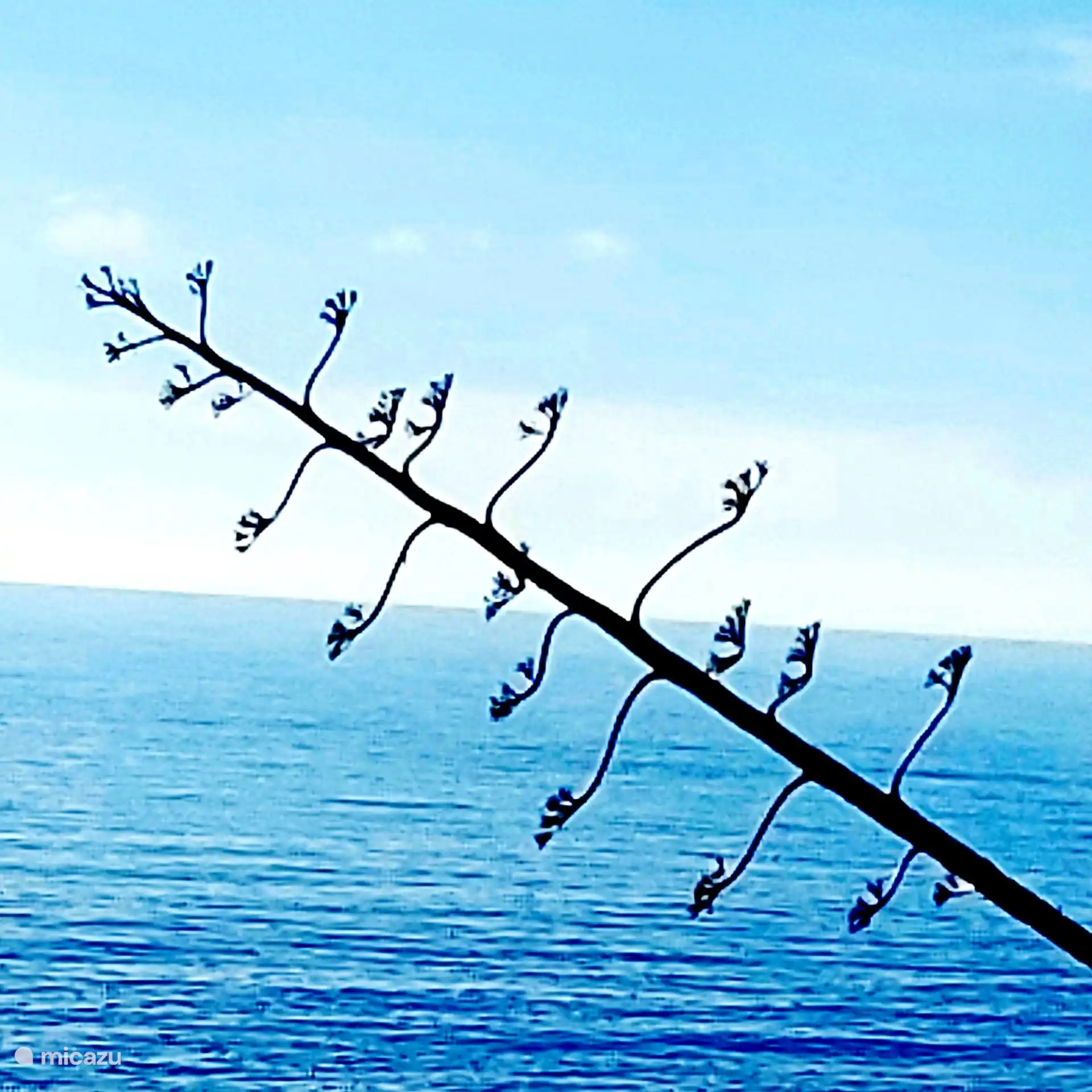 Atmosph&#228;re Foto casa zenzez 