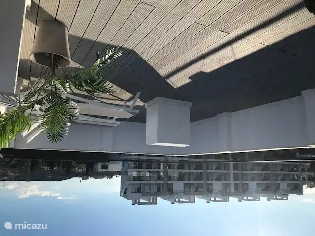 Dachterrasse mit 2 Sonnenliegen 