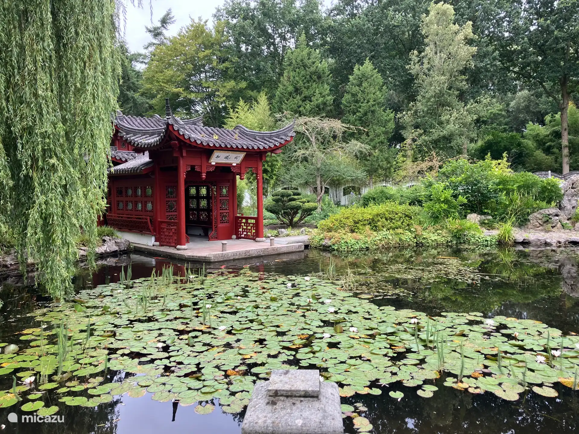 Le jardin chinois dans l’Hortus à Haren.