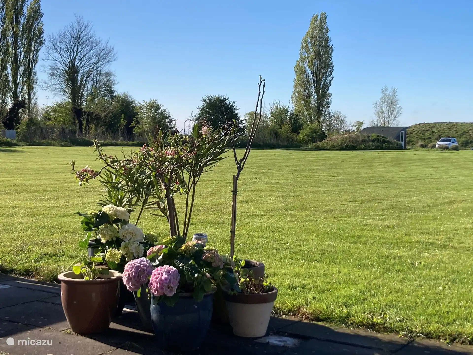 Der riesige Rasen vor unserem Haus. Kinder können dort viel Spaß beim Laufen haben. 