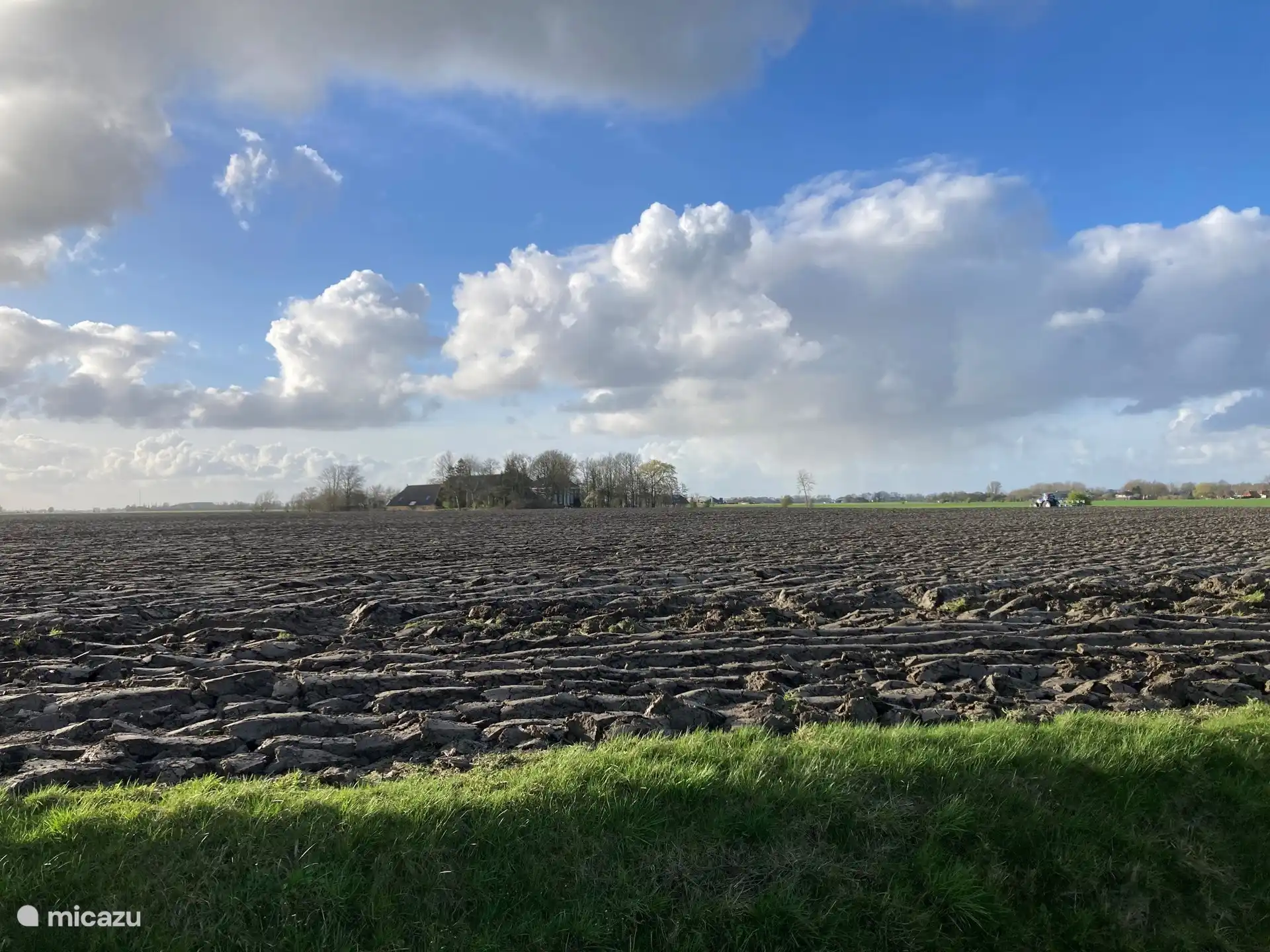 Der charakteristische Groninger Lehm auf dem Feld hinter unserem Haus