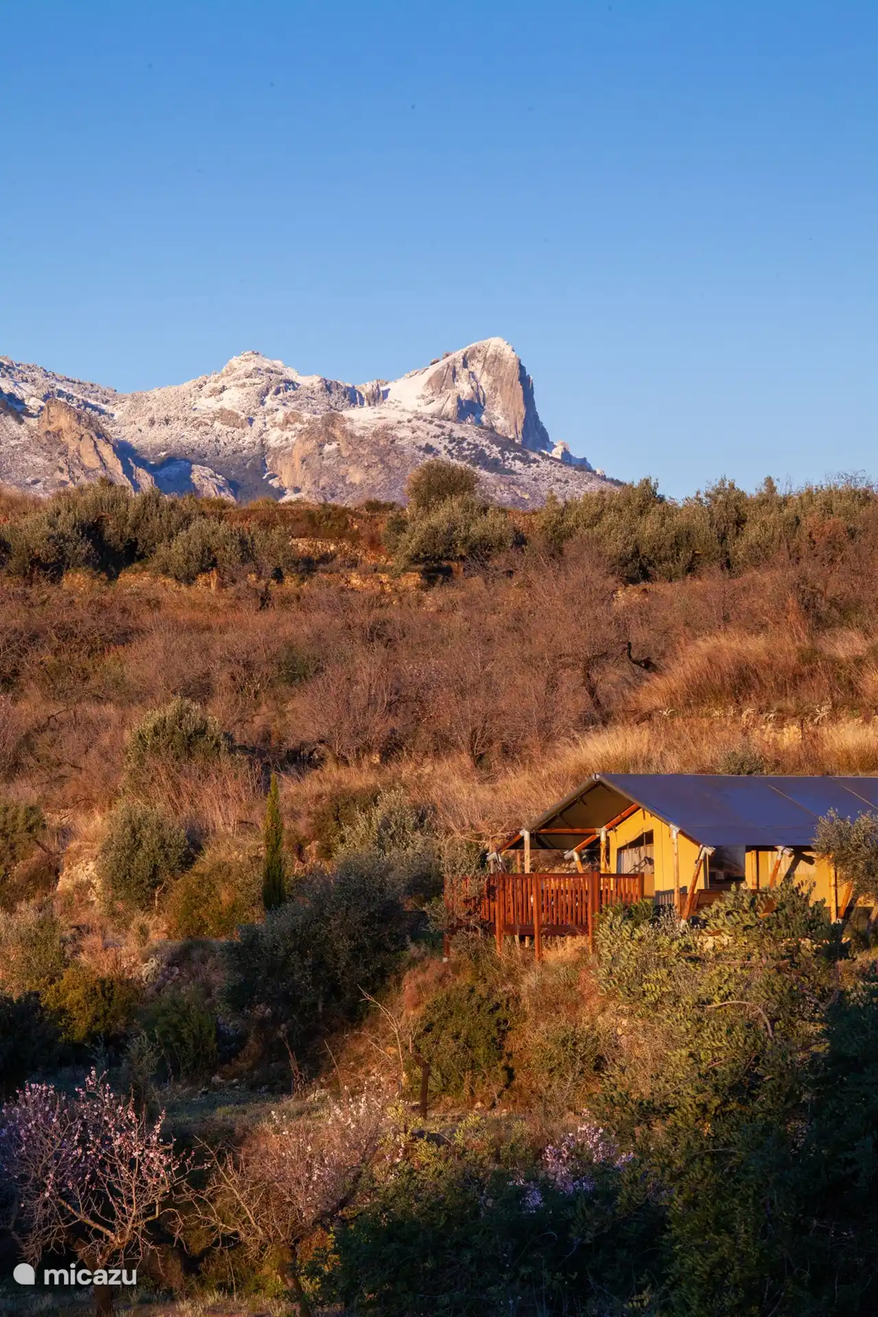 Safarizelt mit Schnee im Hintergrund