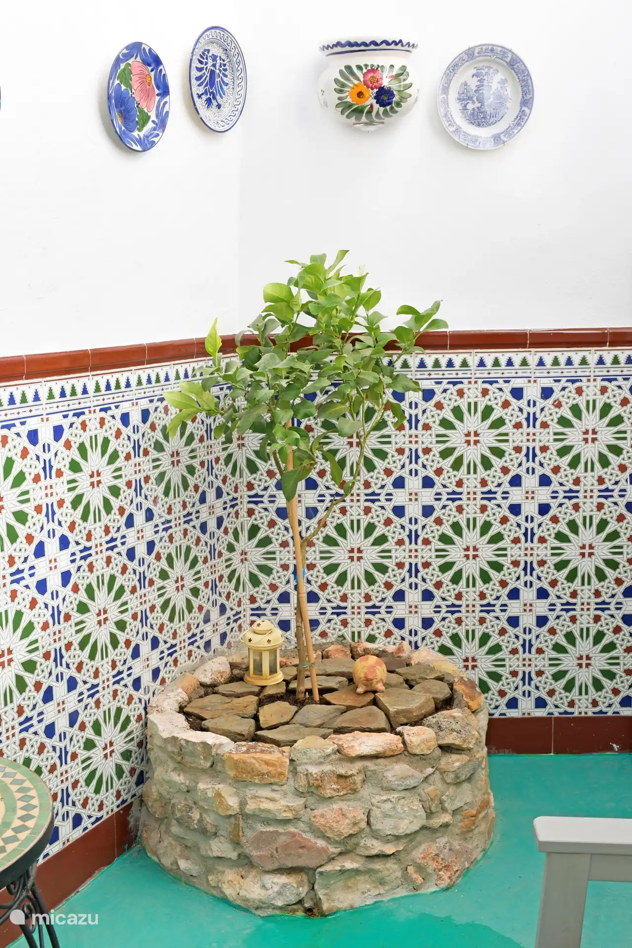 Noch keine Zitrusfrüchte, aber wer weiß, wann sie eintreffen?