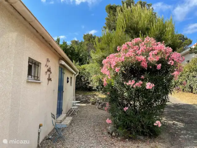 Villa La Petite Fleur  | France, Aude, Pouzols-Minervois - maison de vacances