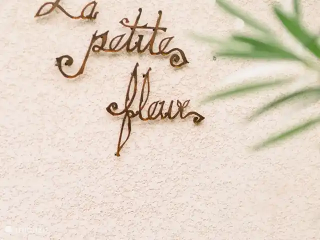 Villa La Petite Fleur  | France, Aude, Pouzols-Minervois - maison de vacances