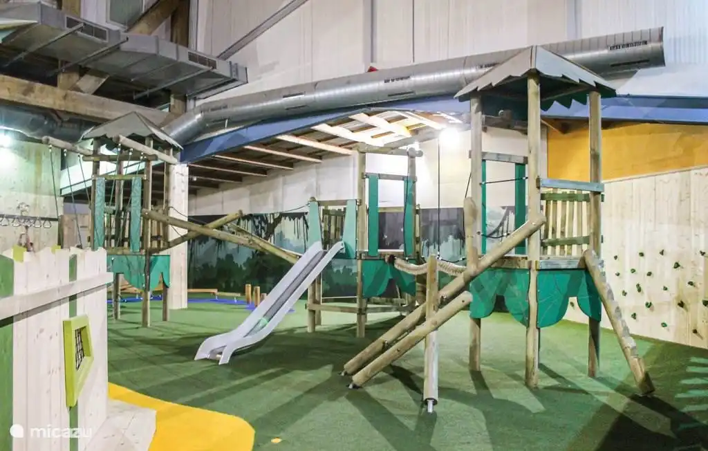 Jungle des singes fous