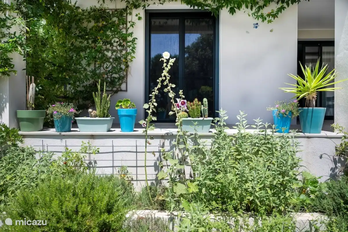 Kräutergarten hinter der Tür des Küchen-/Essbereichs 