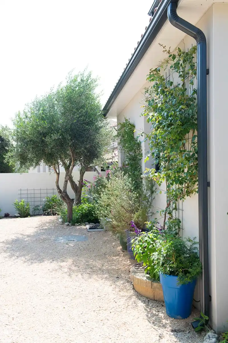 Garten an der Haustür/Eingang (Nordseite)