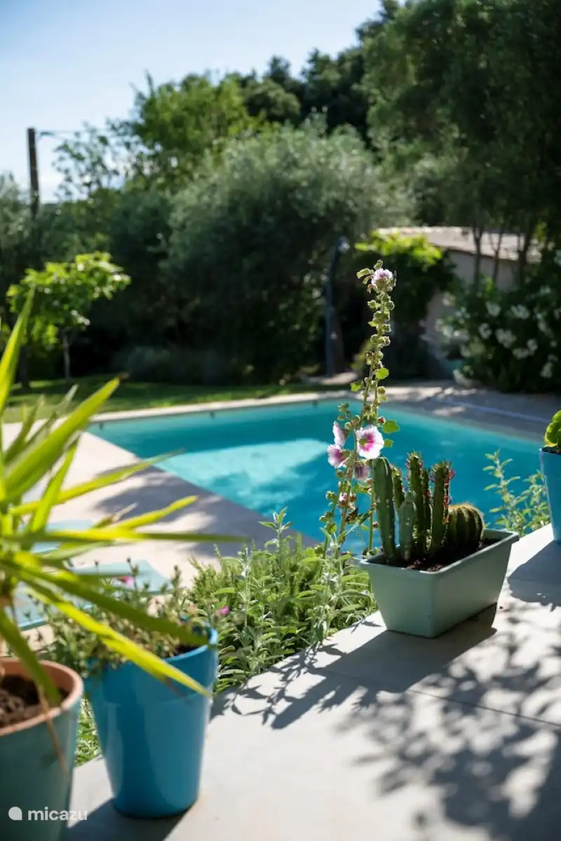 Blick auf den Pool von der Terrasse