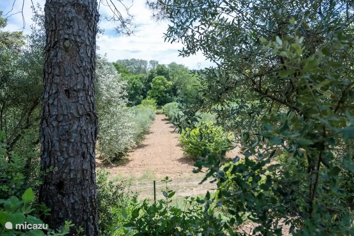 Blick auf die Rückseite des Gartens