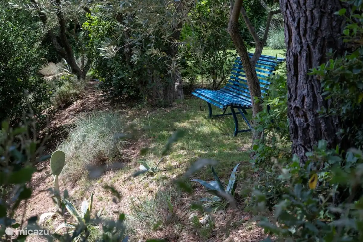 Bank im hinteren Teil des Gartens (von Dal)