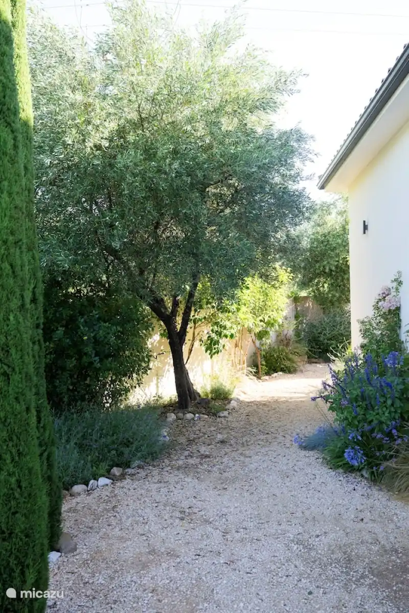 Ebenda (Nahaufnahme)