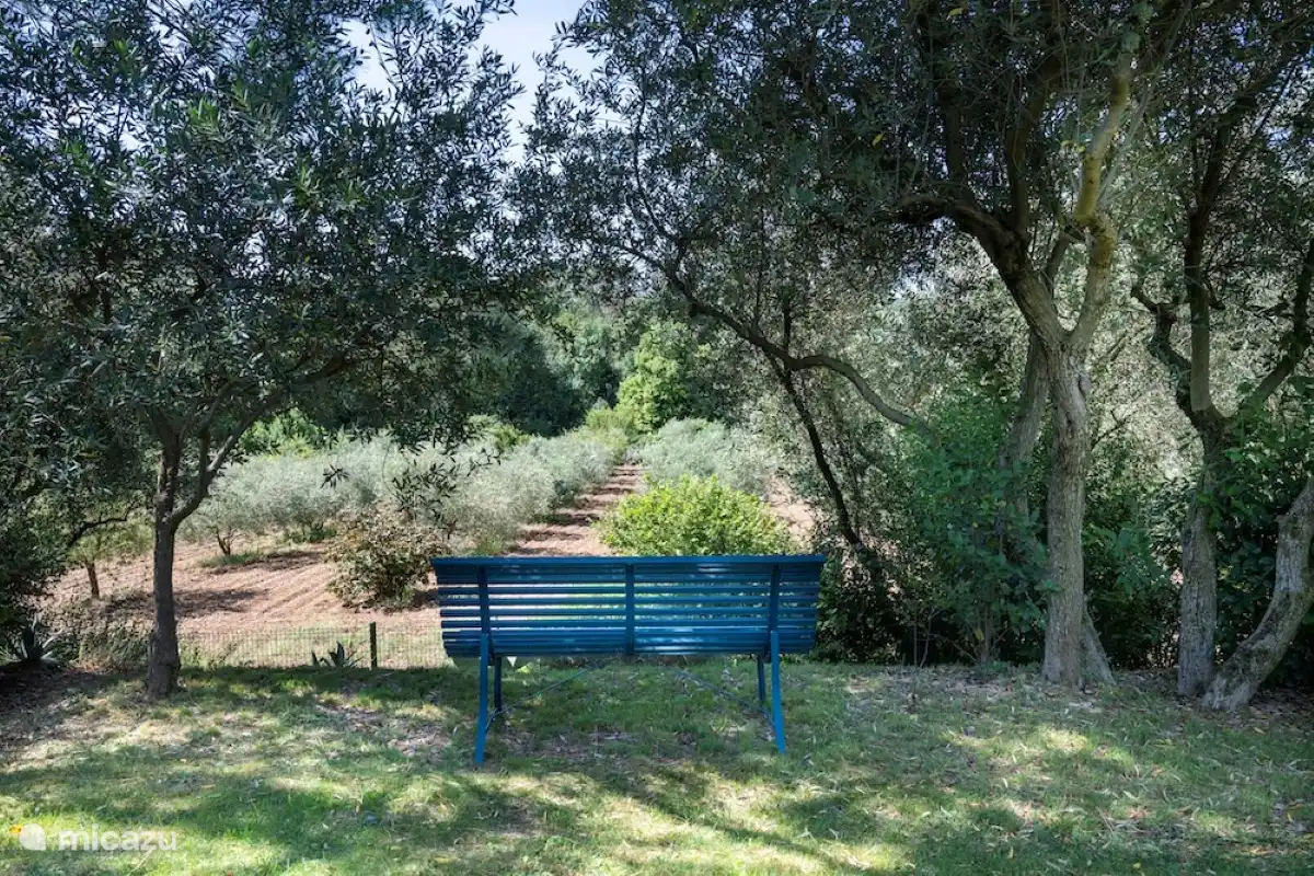 Bank im hinteren Teil des Gartens mit Blick auf den Olivenhain und den Weinberg