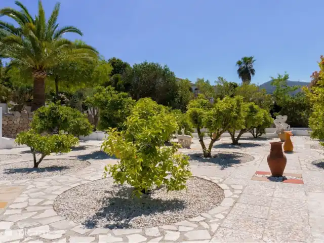 Ca Limonero | Espagne, Costa Blanca, Jávea - maison de vacances Arbres fruitiers
