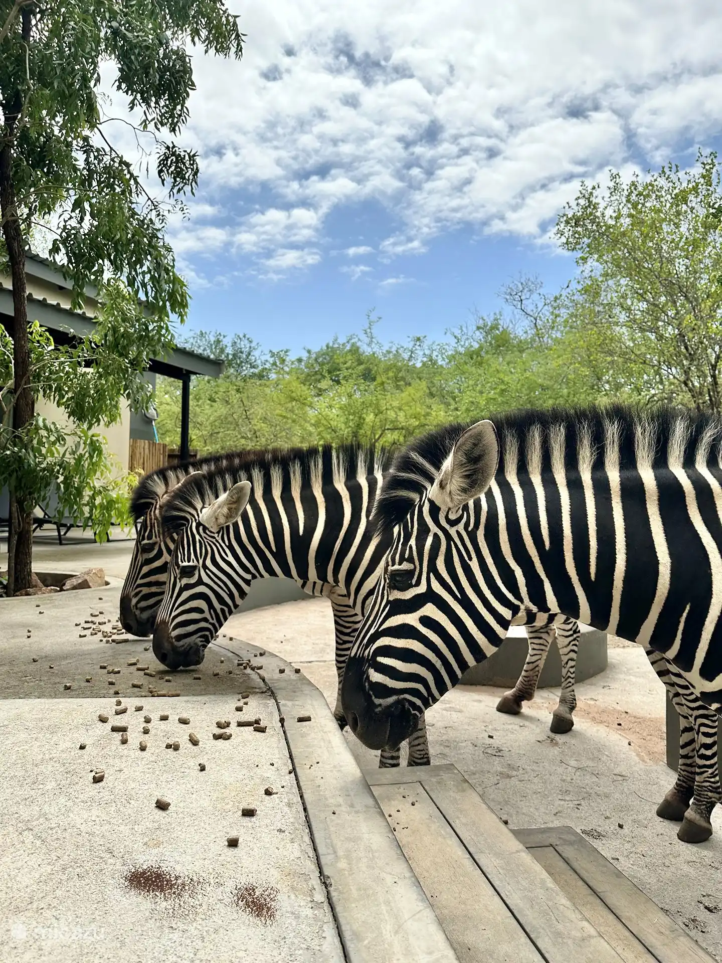Tierwelt im Garten