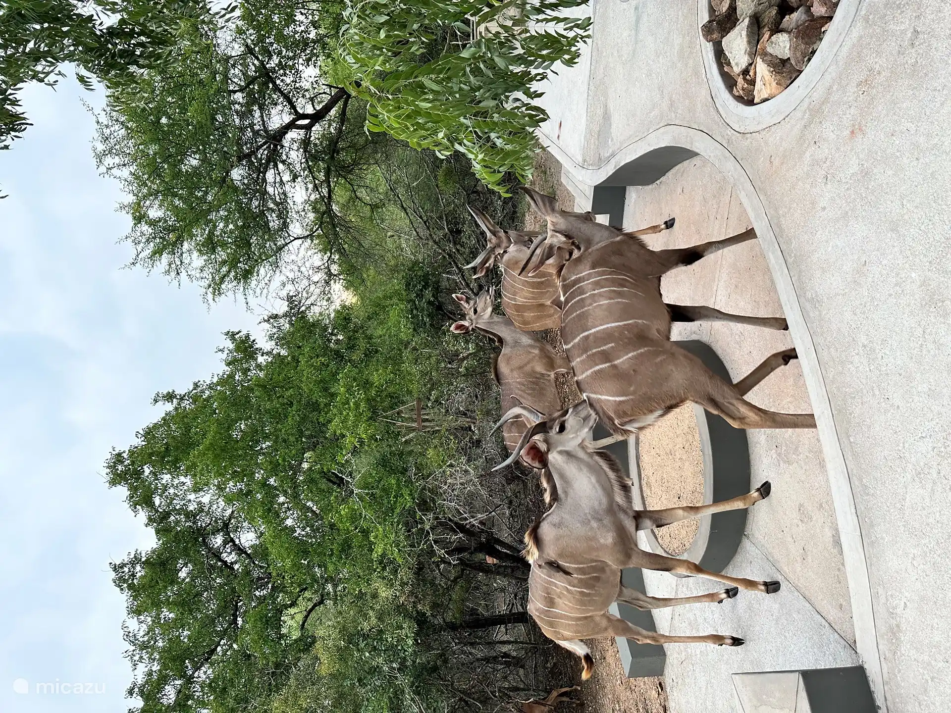 Manchmal geht es im Garten plötzlich sehr geschäftig zu!