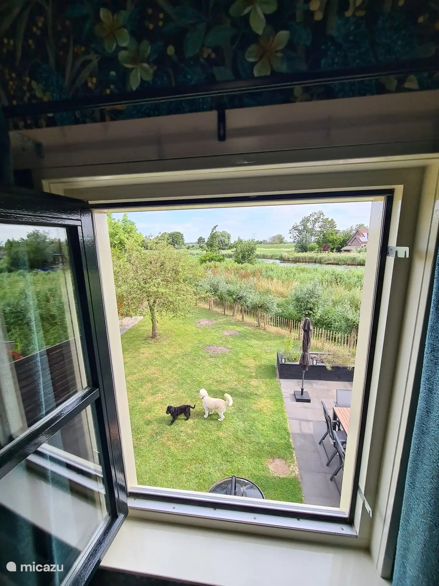 Die Hunde dürfen mitkommen