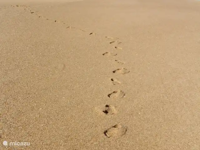 Maison VARZEA | Portugal, Costa de Prata, Alfeizerão - maison de vacances Les plages sont constituées de différents types de sable. Des belles plages de sable blanc très fin aux plages avec un grain de sable légèrement plus grossier