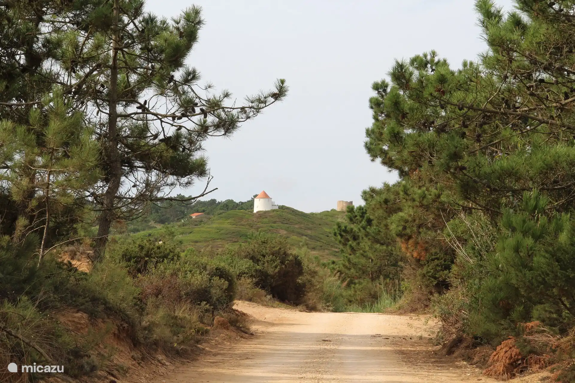 Sie können sehr schöne Spaziergänge in der Umgebung in schöner Umgebung unternehmen.